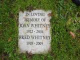 image number Whitney Joan 100